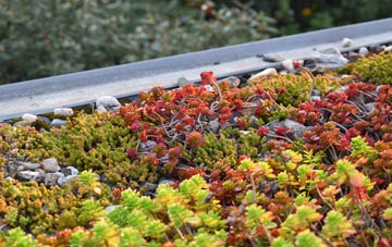 the cost of Kirkwall green roof installation