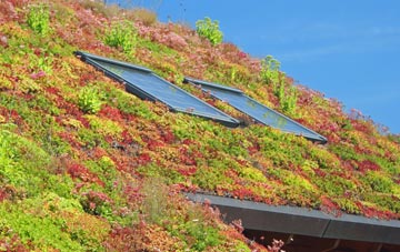 Kirkwall living roof systems