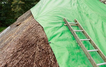 maintaining Kirkwall thatch