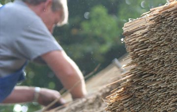 professional Kirkwall thatchers