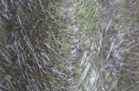 Kirkwall fibreglass roof work